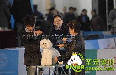 圣寵李博昭老師08年參加CKU比賽現場