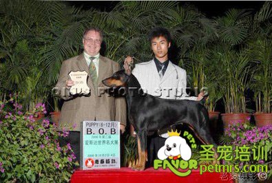 圣寵李博昭老師06年獲得“BOB”冠軍