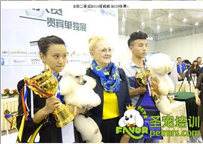 成都NGKC美容師大賽B級第二名（注明是男）