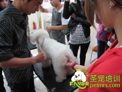 圣寵李博昭老師現場指導學生