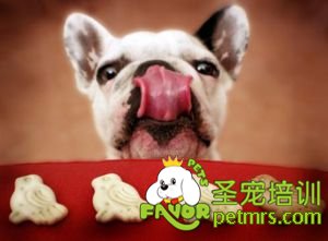 維生素的作用