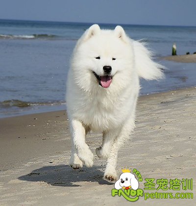 營養是健康之本