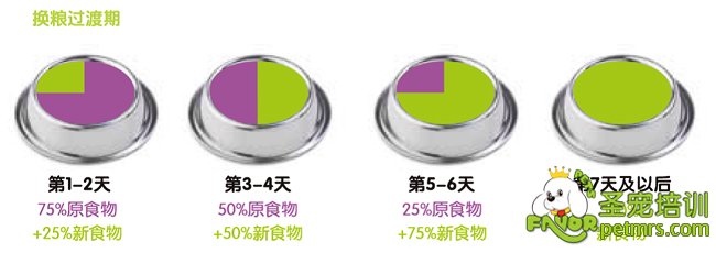 狗狗飲食表