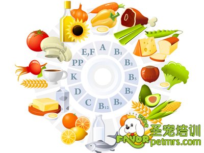 營養(yǎng)元素表