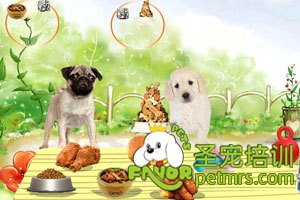 飼料對(duì)狗狗的影響
