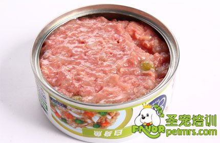 狗吃肉