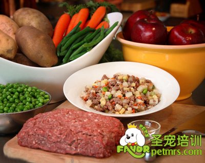 狗狗食物的選擇