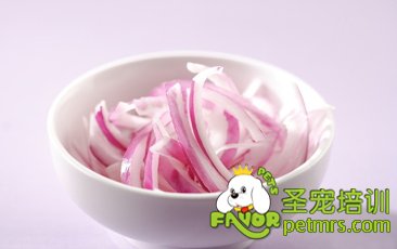 狗狗健康天敵
