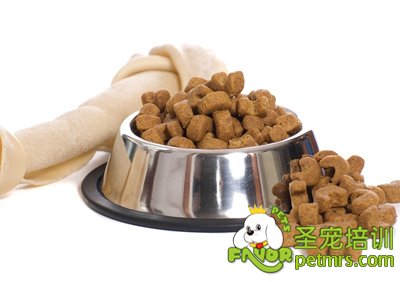 狗糧中的蛋白質成分