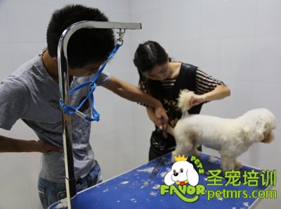 圣寵李博昭老師輔導課指導學生