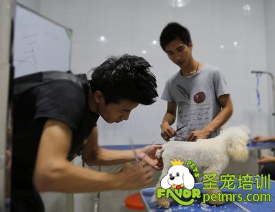 圣寵李博昭老師指導學生