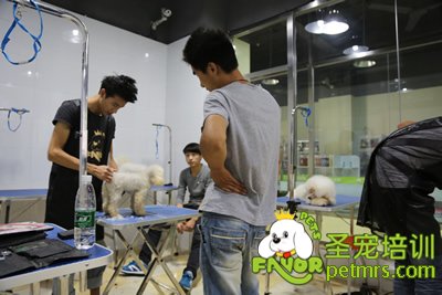 圣寵李博昭老師指導學生