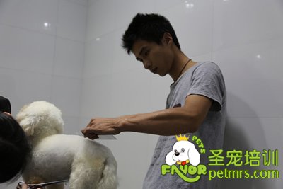 圣寵李博昭老師實操課指導學生