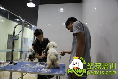圣寵李博昭老師實操課指導學生