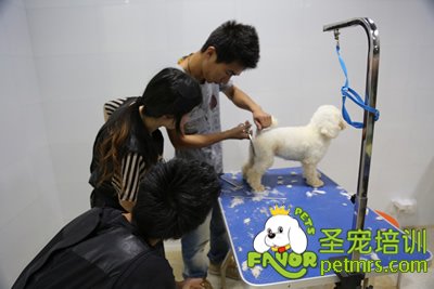 圣寵李博昭老師輔導課指導學生