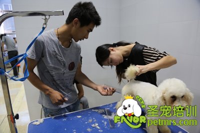 圣寵李博昭老師輔導課指導學生