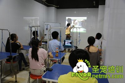 圣寵李博昭老師給學生講課