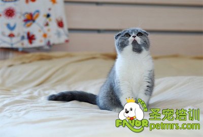 正確飲食可以抗拒衰老