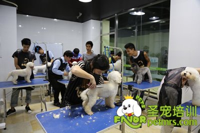 圣寵學員實操課