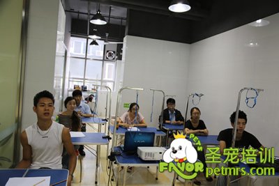 圣寵學員們在認真的聽課
