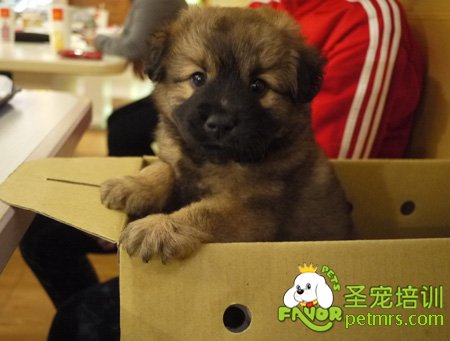 我很可愛只是你不懂我
