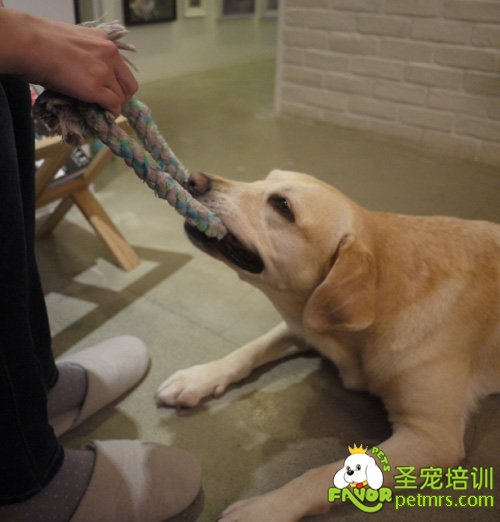 陪我玩會嗎