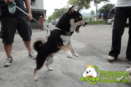 我現在很生氣不要惹我