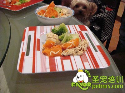 狗狗吃飯