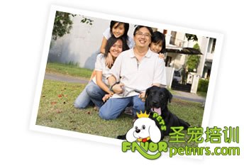 家中成員是否都同意養(yǎng)狗