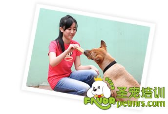 你是否準備好照顧它一生