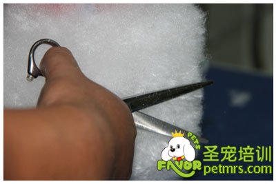 圣寵學員假冒修剪課程(二)