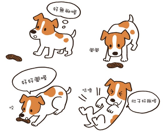 狗狗吃便的原因