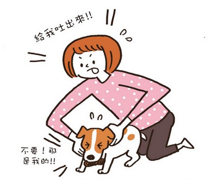 不要搶狗狗的東西