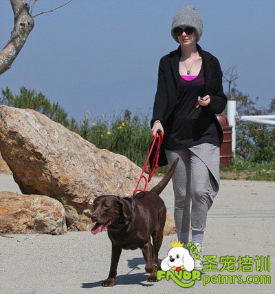 愛它就用狗繩牽住他