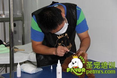 學(xué)生在給狗狗掏耳朵