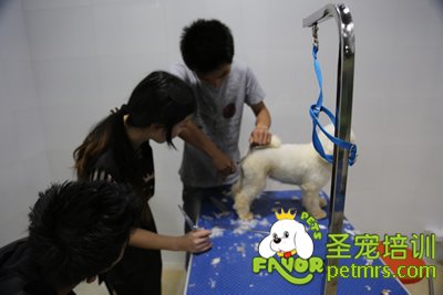 實操課課程輔導