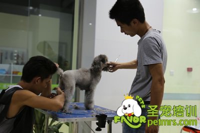 圣寵加強班實操課老師輔導