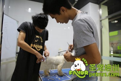 圣寵實(shí)操課老師指導(dǎo)學(xué)生動(dòng)作