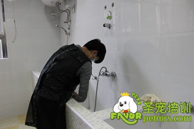 圣寵學員劉志明在給狗狗洗澡