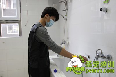 圣寵學員劉志明在給狗狗洗澡