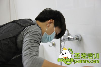 圣寵學員劉志明在給狗狗洗澡