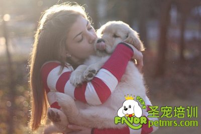 人和狗狗過分親密會怎么樣