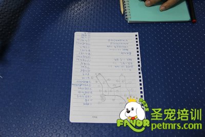 圣寵學員的試卷