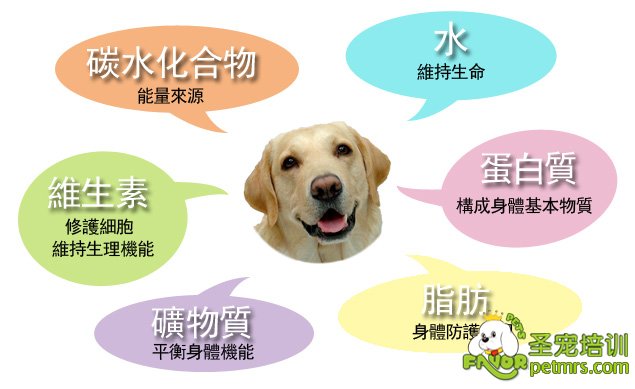 狗狗營養元素
