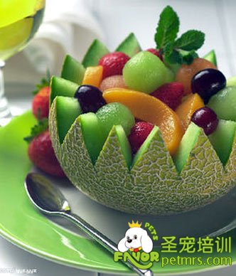 狗狗吃素食