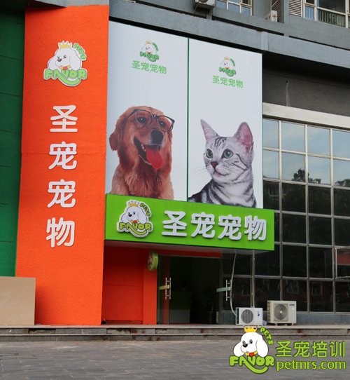 圣寵寵物門頭