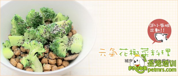 狗狗花椰菜料理