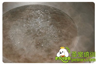 狗狗花椰菜料理