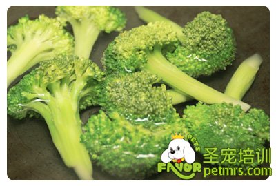 狗狗花椰菜料理