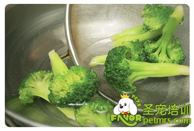 狗狗花椰菜料理
